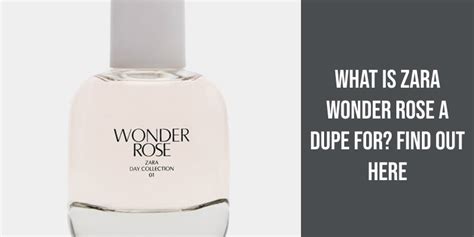 zara dupe for burberry goddess|zara wonder rose dupes.